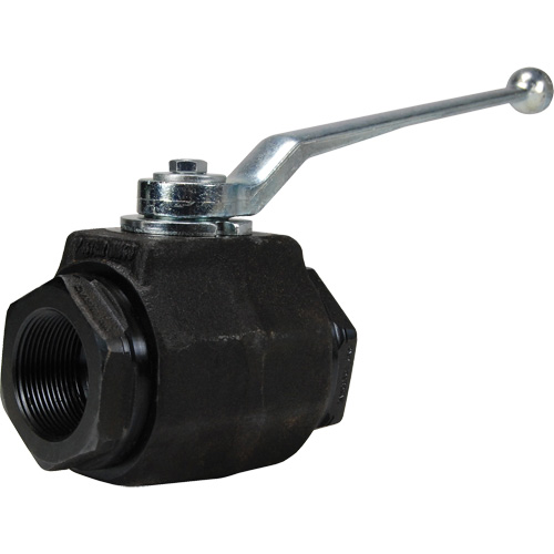 High Pressure Full-Bore Ball Valve, Steel, Manual, FNPT x FNPT Stor-it Systems
