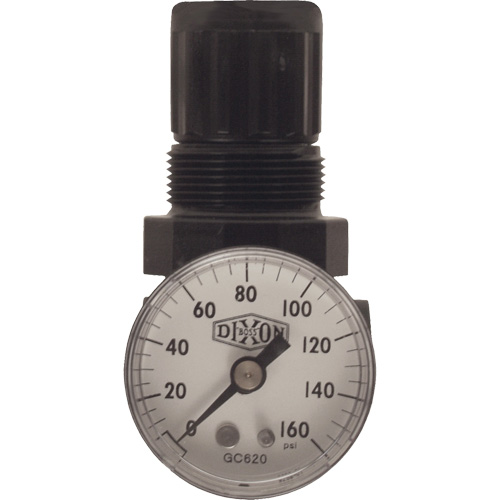 Series 1 Miniature Regulator, 1/8" NPT, 100 psi Max. PSI, Standard Stor-it Systems