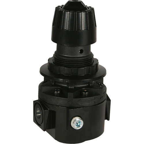 Wilkerson Regulator R26, 3/8" NPT, 300 psi Max. PSI, Standard Stor-it Systems