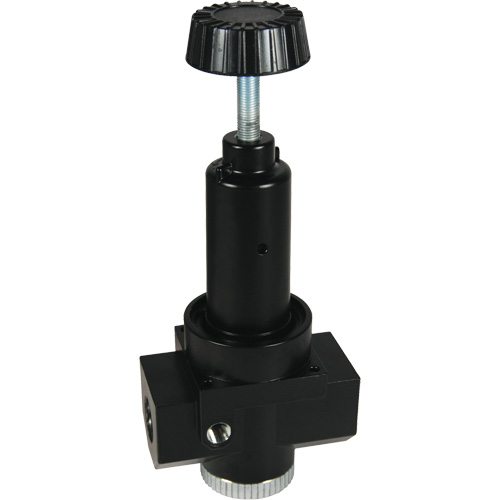 Wilkerson High Flow Regulator R30, 1" NPT, 300 psi Max. PSI, Standard Stor-it Systems