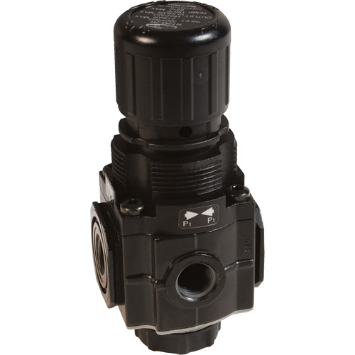 Series 1 Manifold Regulator, 1/4" NPT, 150 PSI Max. PSI, Standard Stor-it Systems