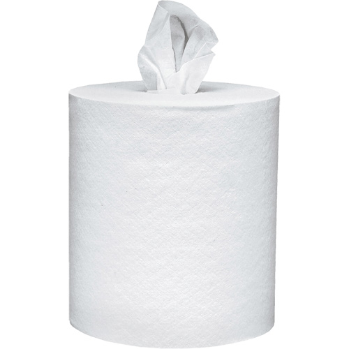 Scott&reg; Essential Paper Towels, 2 Ply, Centre Pull, 625' L Stor-it Systems