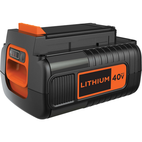 Batterie pour outil sans fil Max*, Lithium-ion, 40 V, 2 Ah Stor-it Systems