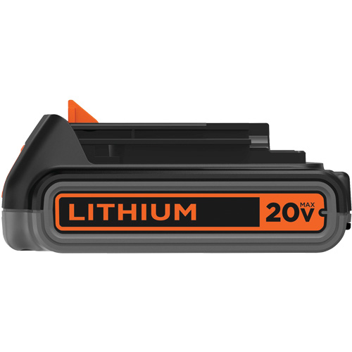 Batterie pour outil sans fil Max*, Lithium-ion, 20 V, 2 Ah Stor-it Systems
