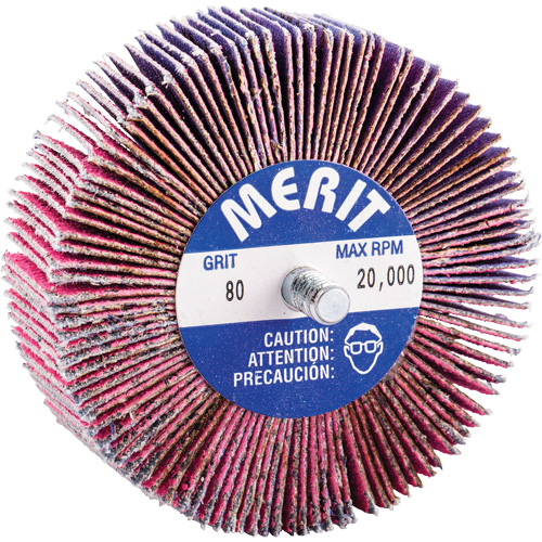 Threaded Mini Flap Wheel, Ceramic Alumina, 80 Grit, 3" x 1" x 1/4"-20 Stor-it Systems