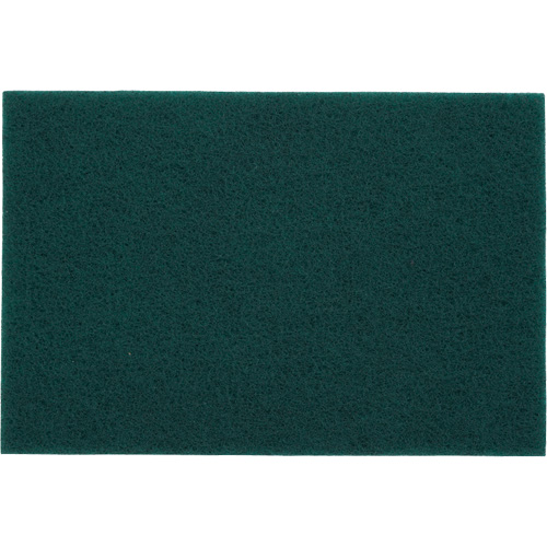 Tampons manuels Bear-Tex, Oxyde d'aluminium, 6" x 9", Grain Tr&egrave;s fin Stor-it Systems