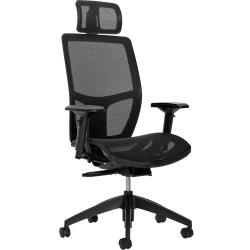 Chaise &agrave; dossier moyen avec m&eacute;canisme &agrave; basculement synchronis&eacute; &agrave; d&eacute;tection de poids Format+, Mailles, Noir, Capacit&eacute; 300 lb Stor-it Systems