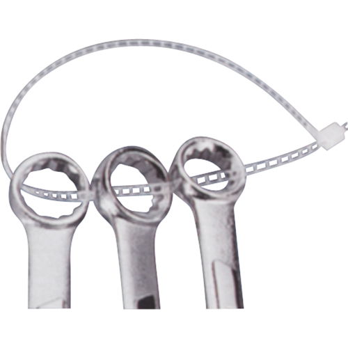Attaches avec encoches, Longueur 7", R&eacute;sistance &agrave; la traction 40 lb, Naturel Stor-it Systems
