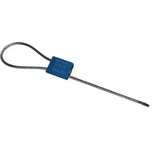 Scell&eacute; de s&eacute;curit&eacute; &agrave; c&acirc;ble Flexsecure FS35, 12", M&eacute;tal, Scell&eacute; &agrave; c&acirc;ble Stor-it Systems
