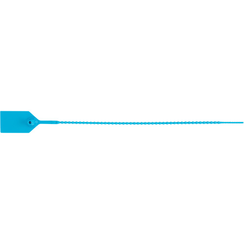 Scell&eacute; de s&eacute;curit&eacute; standard, 12", Plastique, Scell&eacute; en plastique Stor-it Systems