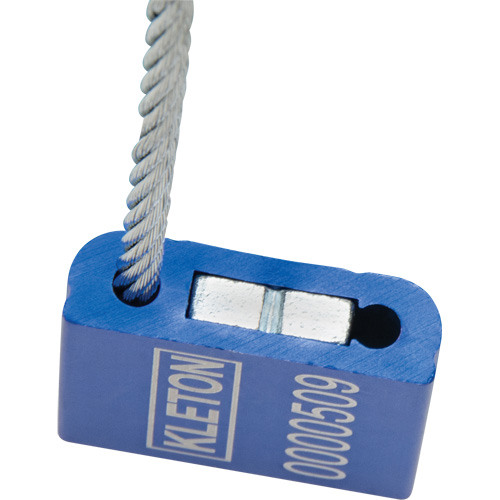 Scell&eacute;s de haute s&eacute;curit&eacute;, 12", M&eacute;tal, Scell&eacute; &agrave; c&acirc;ble Stor-it Systems