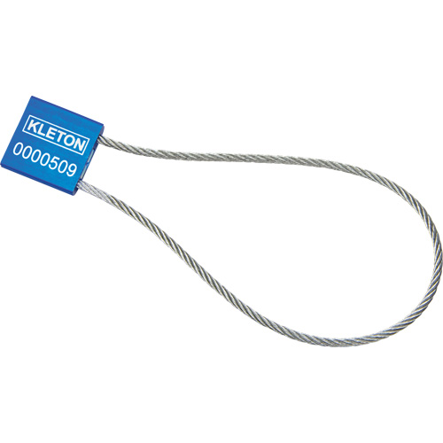 Scell&eacute;s de haute s&eacute;curit&eacute;, 12", M&eacute;tal, Scell&eacute; &agrave; c&acirc;ble Stor-it Systems