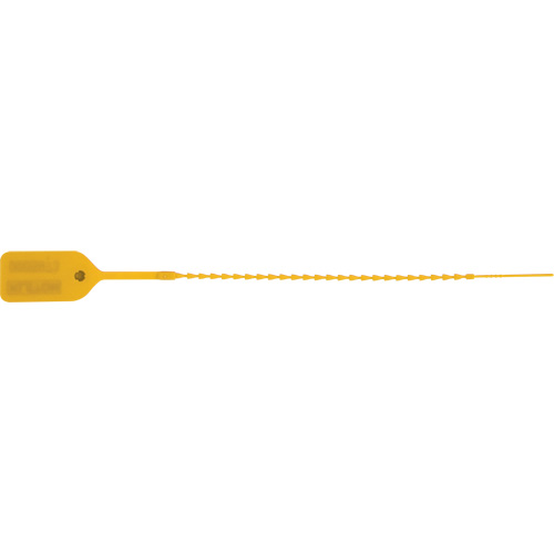 Scell&eacute; de s&eacute;curit&eacute; standard, 9", Plastique, Pousser et tirer Stor-it Systems