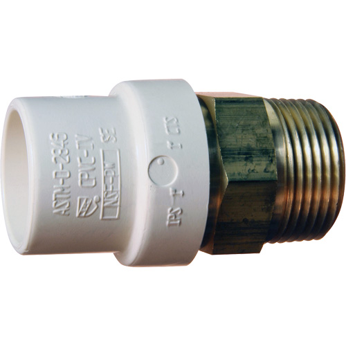 Threaded Pipe Adapter, Hub x MPT, 1-1/4" Dia., Brass/CPVC Stor-it Systems