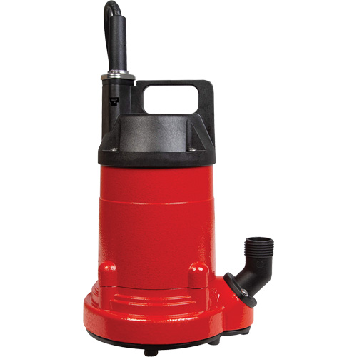 Pompe utilitaire en aluminium, 115 V, 1500 gal./h, 1/4 CV Stor-it Systems