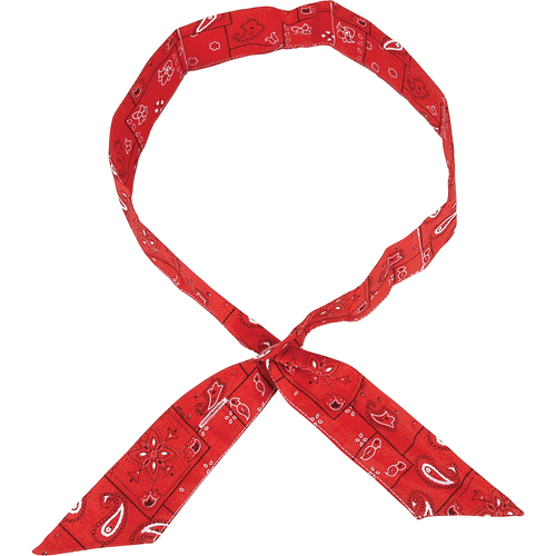 ALLEGRO INDUSTRIES Cool Offs Bandana, Red Stor-it Systems