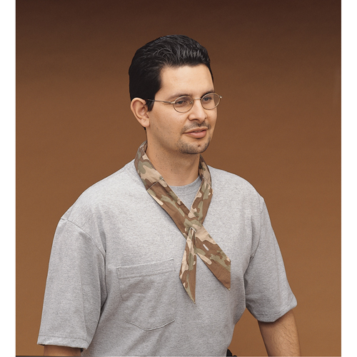 ALLEGRO INDUSTRIES Cool Offs Bandana, Multi-Colour Stor-it Systems