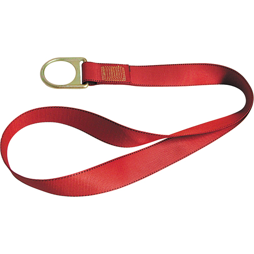 PointGuard Anchorage Connector Straps, D-Ring, Temporary Use Stor-it Systems