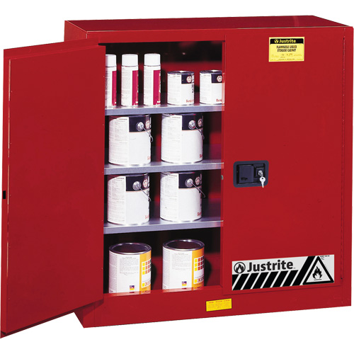 Armoire de s&eacute;curit&eacute; pour la peinture et les encres combustibles EX Sure-Grip, 40 gal., 3 tablettes Stor-it Systems