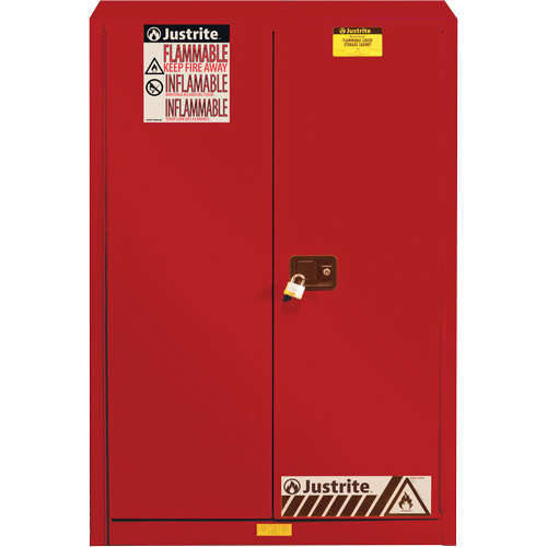 Armoire de s&eacute;curit&eacute; pour la peinture et les encres combustibles EX Sure-Grip, 60 gal., 5 tablettes Stor-it Systems