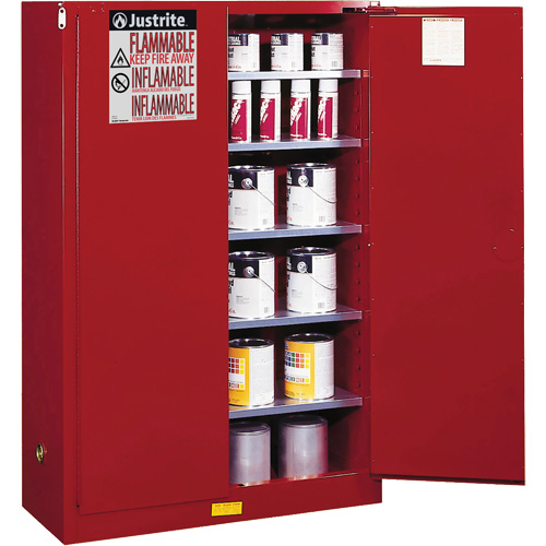 Armoire de s&eacute;curit&eacute; pour la peinture et les encres combustibles EX Sure-Grip, 60 gal., 5 tablettes Stor-it Systems