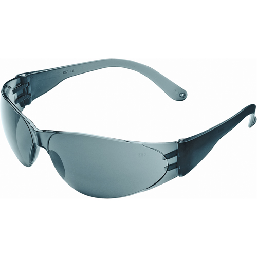 Lunettes de s&eacute;curit&eacute; Checklite Duramass, Lentille Grise/fum&eacute;e, Antibu&eacute;e/Anti-&eacute;gratignures, ANSI Z87+/R&eacute;pond ou surpasse la norme CSA Z94.3 Stor-it Systems