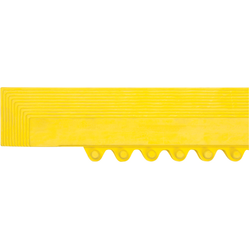 Rampe de bordure pour tapis Stor-it Systems