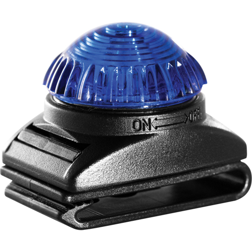 Guardian Warning Light, Continuous/Flashing, Blue Stor-it Systems