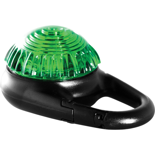 Clignotant d'avertissement Guardian TAG-IT, Continu/Clignotement, Vert Stor-it Systems