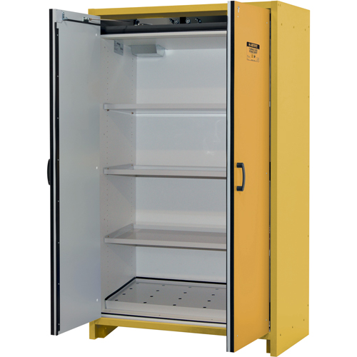 30-Minute EN Safety Storage Cabinet, 45 gal., 2 Door, 45.83" W x 76.65" H x 24.21" D Stor-it Systems