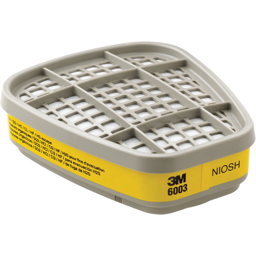 6000 Series Respirator Cartridges, Gas/Vapour Cartridge, Organic Vapour/Acid Gas Stor-it Systems