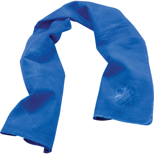 Chill-Its&reg; 6602 Cooling Towels, Blue Stor-it Systems