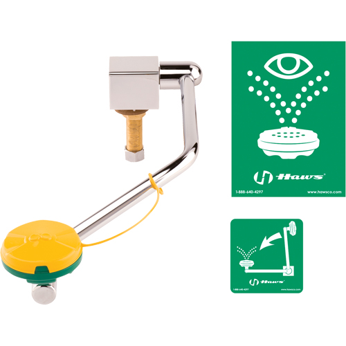 Eye/Face Wash Station, Sink Mount Installation Stor-it Systems