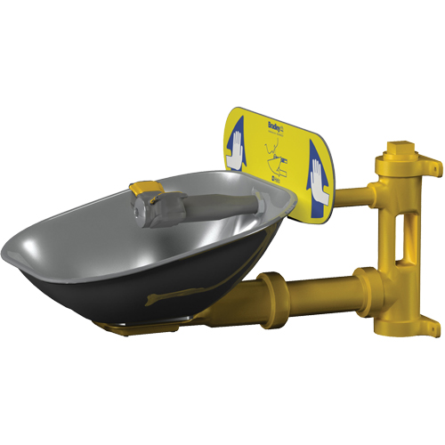 Poste de douche oculaire Halo, Installation Montage mural, Bol Acier inoxydable Stor-it Systems