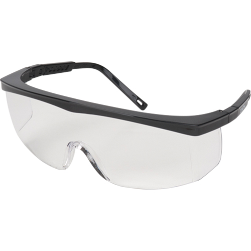 Z100 Series Safety Glasses, Clear Lens, Anti-Fog/Anti-Scratch, ANSI Z87+/Meets/Exceeds CSA Z94.3 Stor-it Systems