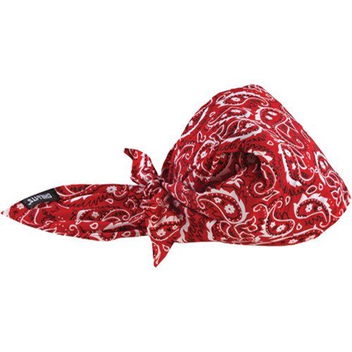 Chill-Its&reg; 6710CT Cooling Triangle Hats, Red Stor-it Systems