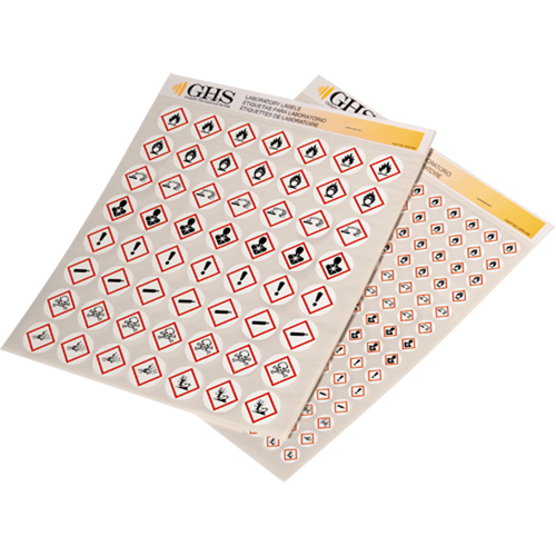 GHS Hazard Pictogram Label Variety Packs, Vinyl, Sheet, 1/2" L x 1/2" W Stor-it Systems
