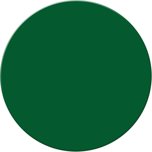 Marqueurs all&eacute;g&eacute;e/5S Armor Stripe, Cercle, 6" lo x 6" la, Vert, Plastique Stor-it Systems