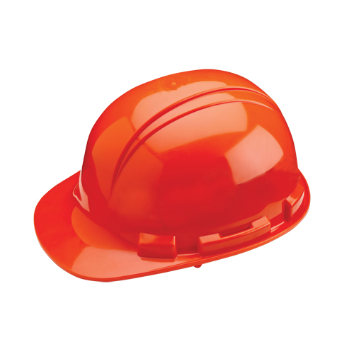 Casque de s&eacute;curit&eacute; Whistler de North, R&eacute;pond aux normes CSA type 1, Suspension Rochet, Non ventil&eacute; Stor-it Systems