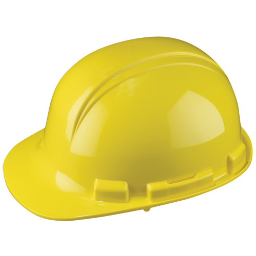 Casque de s&eacute;curit&eacute; Whistler de North, R&eacute;pond aux normes CSA type 1, Suspension &agrave; douille, Non ventil&eacute; Stor-it Systems