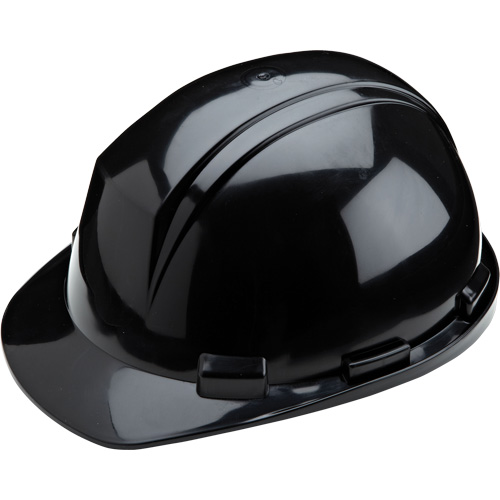 Casque Mont-Blanc de North, R&eacute;pond aux normes CSA type 2, Suspension Rochet, Non ventil&eacute; Stor-it Systems
