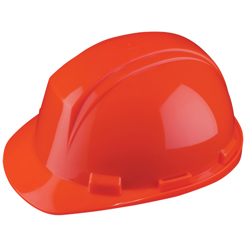 Casque Mont-Blanc de North, R&eacute;pond aux normes CSA type 2, Suspension Rochet, Non ventil&eacute; Stor-it Systems