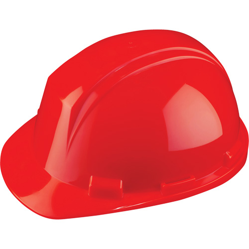 Casque Mont-Blanc de North, R&eacute;pond aux normes CSA type 2, Suspension Rochet, Non ventil&eacute; Stor-it Systems