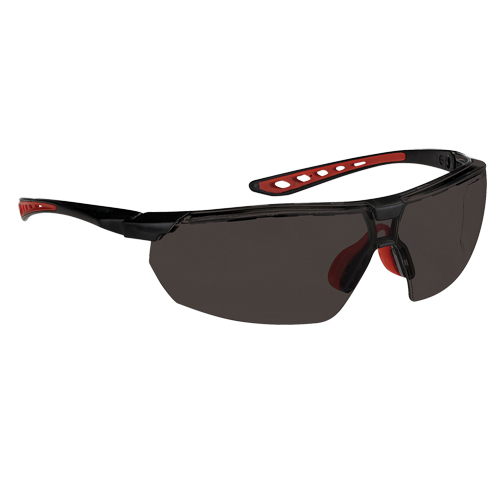 Dynamic Falcon Series Safety Glasses, Smoke Lens, Anti-Fog, ANSI Z87+/Meets/Exceeds CSA Z94.3 Stor-it Systems