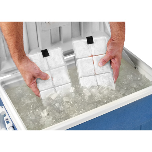 Sachets pour veste de refroidissement &agrave; changement de phase 6260 Chill-Its Stor-it Systems