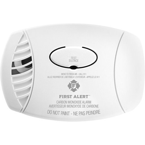 Carbon Monoxide Sensor with Battery Backup Stor-it Systems
