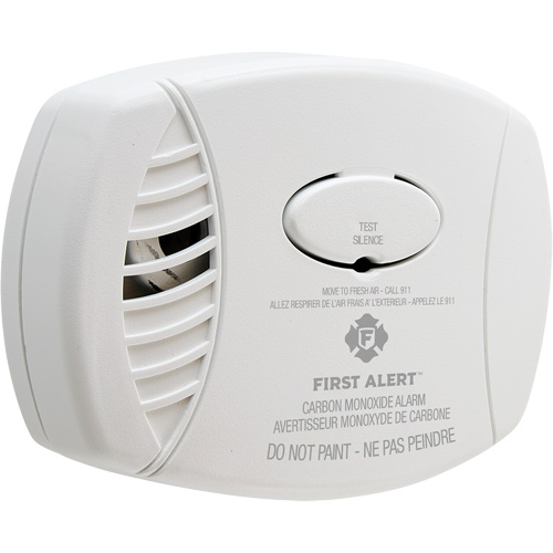 Carbon Monoxide Sensor with Battery Backup Stor-it Systems