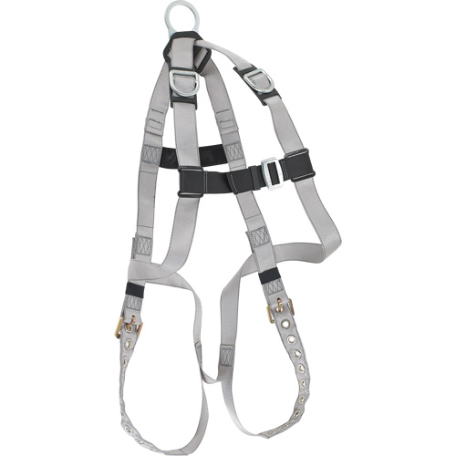 Dynamic B-Compliant Economy Harness, CSA Certified, Class AE, 310 lbs. Cap. Stor-it Systems