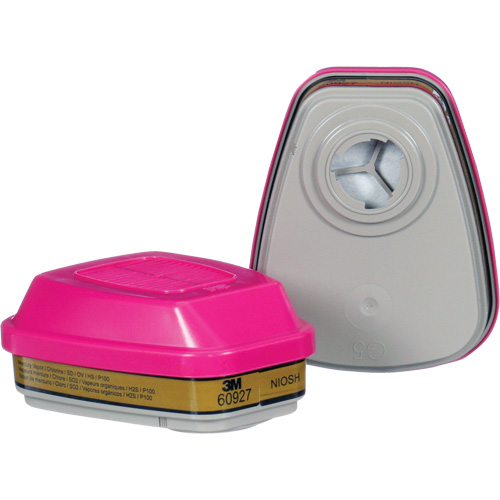 Cartouche, Combinaison cartouche et filtre contre les particules pour gaz/vapeurs, Gaz multiples/Vapeurs/P100 Stor-it Systems
