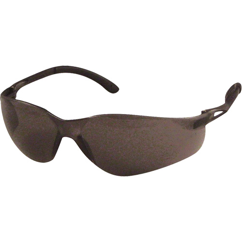 Lunettes de s&eacute;curit&eacute; Sen-Tec, Lentille Gris, Anti-&eacute;gratignures, R&eacute;pond ou surpasse la norme CSA Z94.3 Stor-it Systems